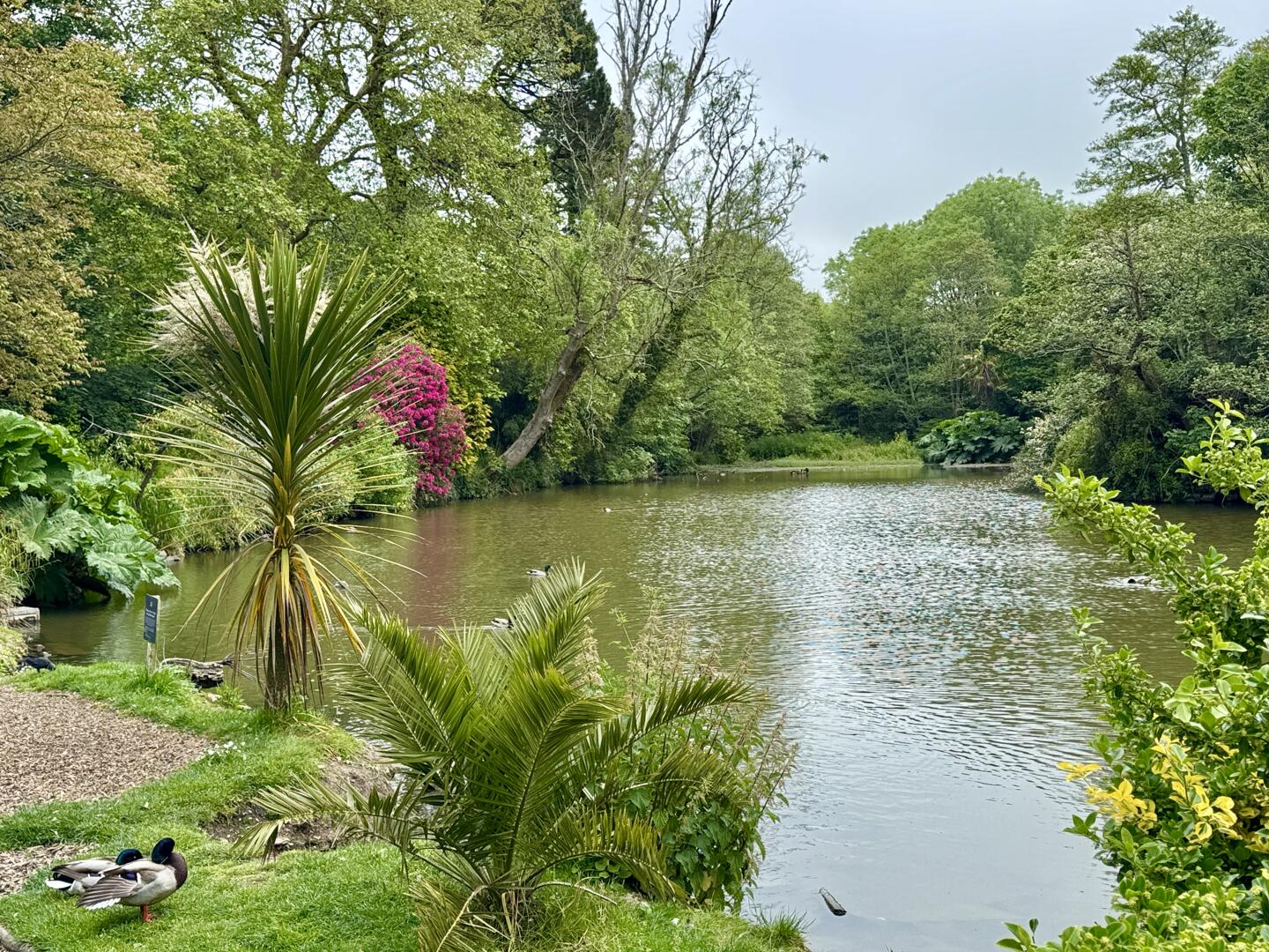 Boscawen Woods, Truro